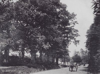 The Seven Oaks (s/hvitt bilde) av Charles Essenhigh Corke