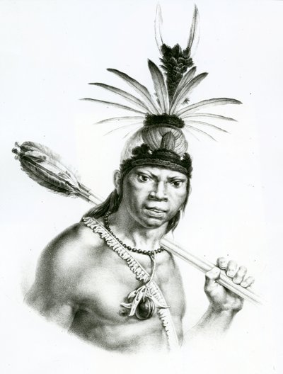 Sjef Camacan Mongoyo fra 'A Pitoresque and Historical Trip to Brazil' av Jean Baptist Debret, 1834 av Charles Etienne Pierre Motte