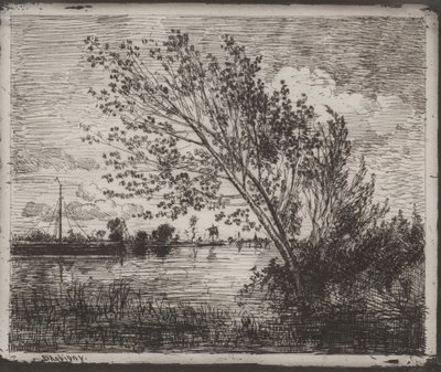 A Cluster of Alders, originalt inntrykk 1862, trykt i 1921. av Charles Francois Daubigny