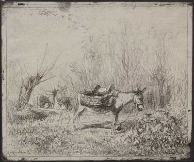 A Donkey in the Field, originalt inntrykk 1862, trykt i 1921. av Charles Francois Daubigny