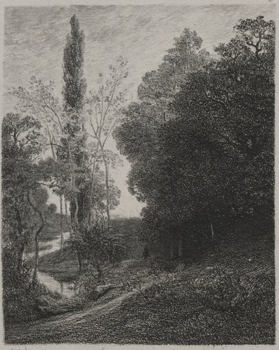 Bredden av elven Cousin av Charles Francois Daubigny