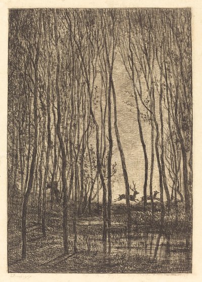 Hjort i skogen av Charles Francois Daubigny