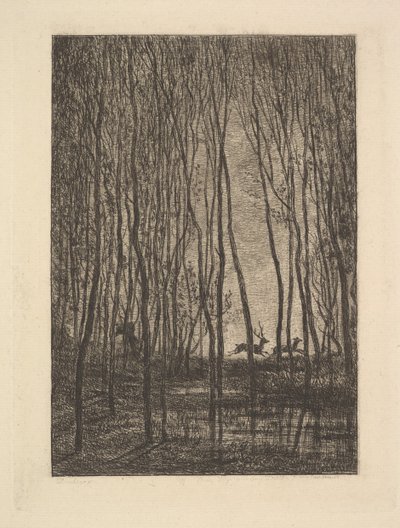 Hjort i skogen, 1850. av Charles Francois Daubigny