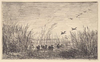Ducks in the Marshes, [1862], gjengitt 1921. av Charles Francois Daubigny