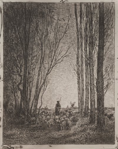 Gathering in the Flock, originalinntrykk 1862, trykt i 1921. av Charles Francois Daubigny