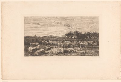 Landskap med saueflokk Parc à Moutons, le matin (tittel på objekt) av Charles Francois Daubigny