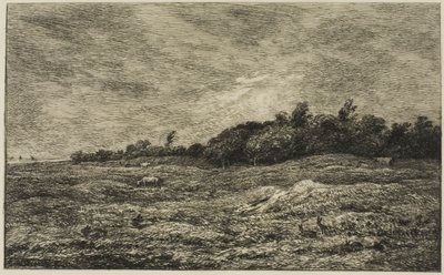 Pre des Graves i Villerville (Calvados) av Charles Francois Daubigny