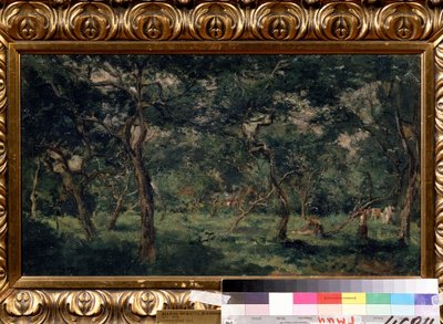 ""Olivenlunden"" (Olivenhage) Maleri av Charles Francois Daubigny (1817-1878) 1870-1873 Pushkin-museet, Moskva av Charles Francois Daubigny