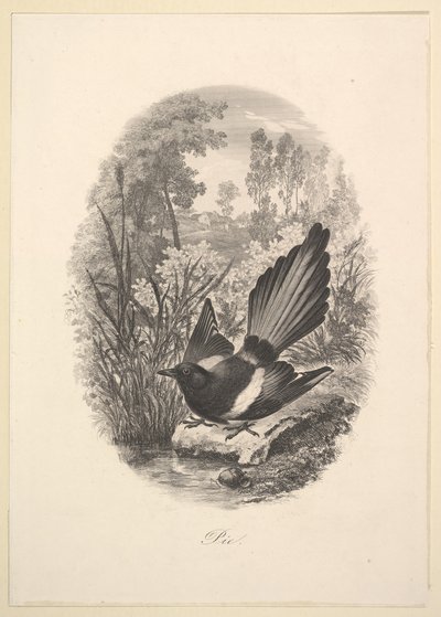 Magpie, 1843. av Charles Francois Daubigny
