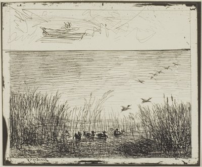 Myr med ender av Charles Francois Daubigny