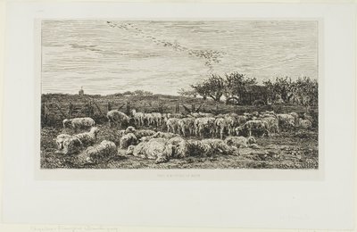 Eng med sauer av Charles Francois Daubigny