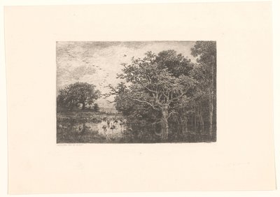 Moeras møtte ooievaars Storkemyra av Charles Francois Daubigny