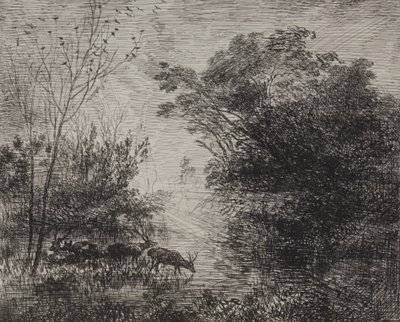 Stags, originalt inntrykk 1862, trykt i 1921. av Charles Francois Daubigny