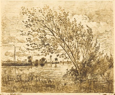 Stand of Alders av Charles Francois Daubigny
