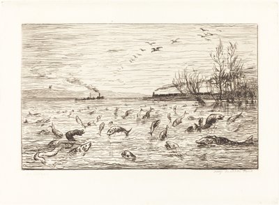 Fisken gleder seg når hyttegutten går (Rejouissances de poissons du depart du mo av Charles Francois Daubigny