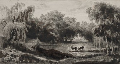 The Pool with Stags av Charles Francois Daubigny