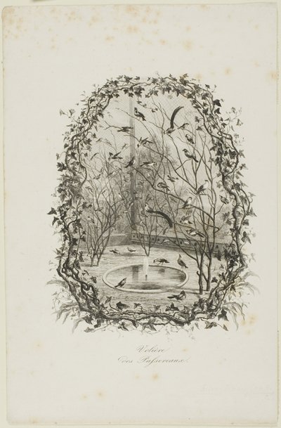 Sparrow Aviary av Charles Francois Daubigny
