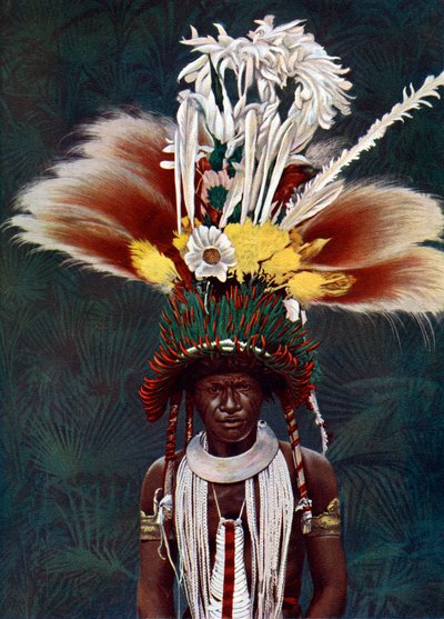 En Roro-høvding kledd for en seremoniell dans, Papua Ny-Guinea, 1920. av Charles Gabriel Seligman