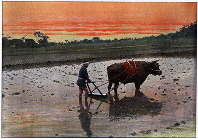 Forberedelse av en risplantasje i Japan, c1890 av Charles Gillot
