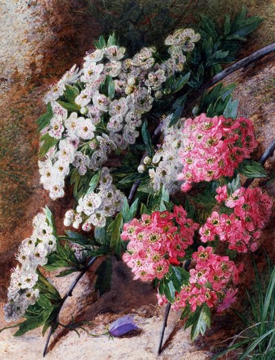 Blomster. Maleri av Charles Henry Slater (1820–1890). Privat samling. av Charles H. Slater