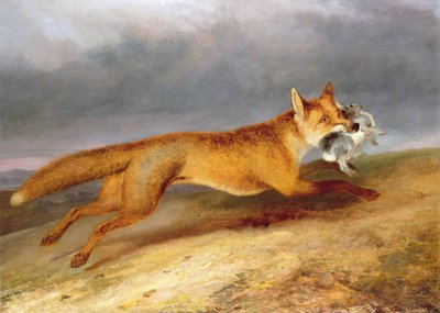 Rev på vei med en kanin av Charles Hancock