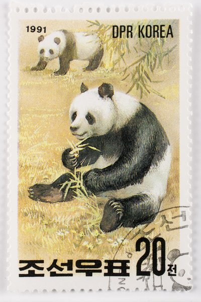 Frimerke/Nord-Korea/Ailuropoda melanoleuca/Grand panda/Giant Panda av Augustus Kollner