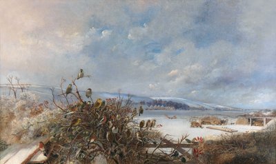 Fugler av en fjær av Charles Henry Clifford Baldwyn