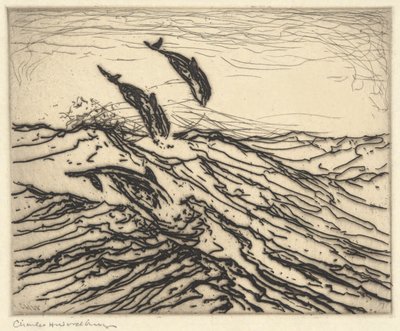 Niser av Charles Herbert Woodbury