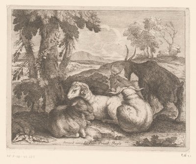 Sauer og geiter under et tre Dyreserie (serietittel) av Charles II Errard (attributed to)