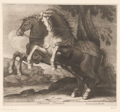 oppdrett av hester Chevaux Tartare (tittel på objekt) Dyreserie (serietittel) av Charles II Errard (attributed to)