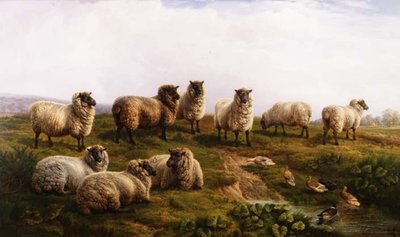 Welsh Black-faced Sau av Charles Jones