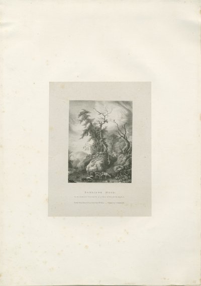 Himley Estate - 'Bagridge Wood': litografi, nd [1789-1850] (trykk) av Charles Joseph Hullmandel