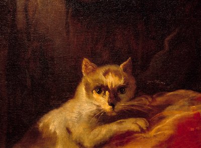 Mademoiselle de Charolais Detalj som representerer katten. Maleri av Charles Joseph Natoire (Charles-Joseph Natoire av Charles Joseph Natoire