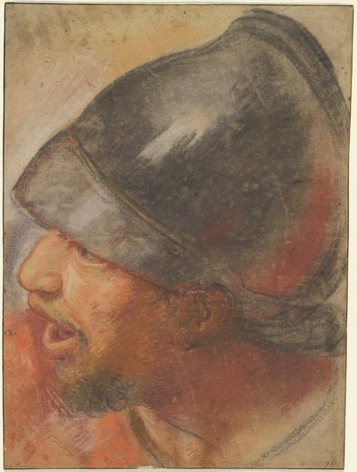 Kopf eines makedonischen Soldaten av Charles Le Brun
