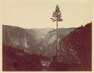 Yosemite Valley fra Mariposa Trail, ca. 1865. av Charles Leander Weed