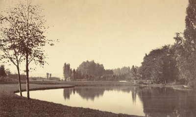 Boulogneskogen av Charles Marville