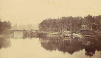 [Bois de Boulogne, Paris] av Charles Marville