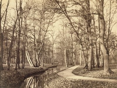 Bois de Boulogne, Paris av Charles Marville
