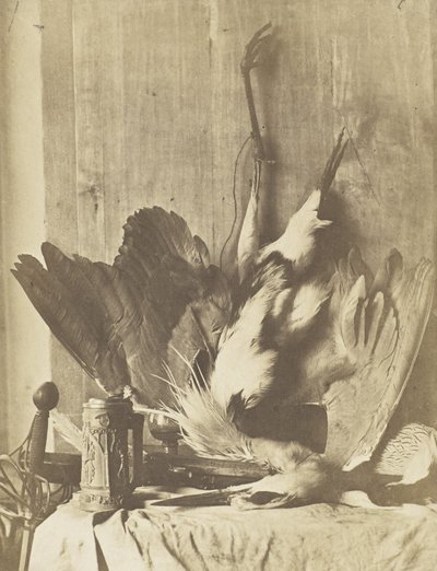 Game Still Life, ca. 1853-55 (albuminisert saltet papirtrykk) av Charles Marville