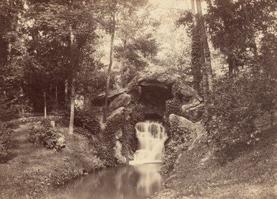 Grotte, Deer Pond, Bois de Boulogne, 1858–1860 (bilde) av Charles Marville