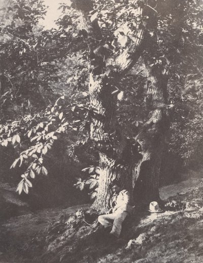 Mann liggende ved foten av et kastanjetre, 1850-53. av Charles Marville