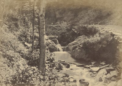  av Charles Marville