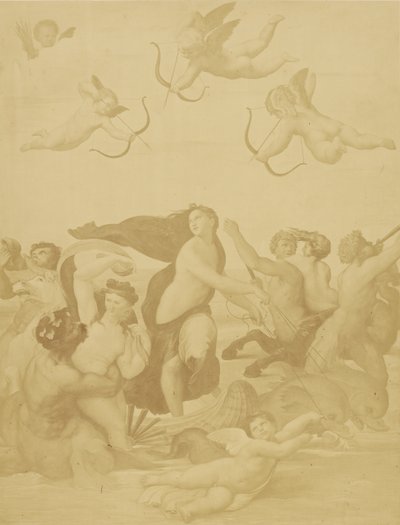 [Reproduksjon av Galatea av Raphaël] av Charles Marville