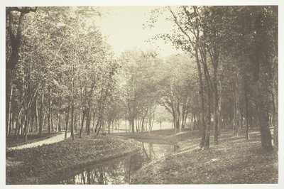 Uten tittel, c. 1850. [Trær nær vann i Bois de Boulogne, en park i Paris]. av Charles Marville