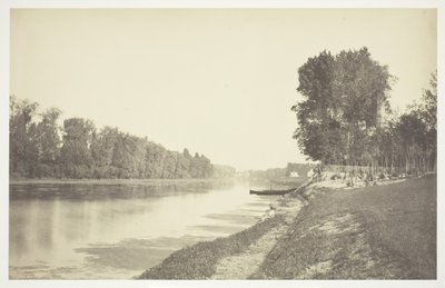 Uten tittel, c. 1850. [Trær nær vann i Bois de Boulogne, en park i Paris]. av Charles Marville