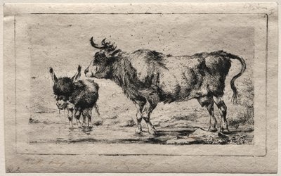 Ku og esel, 1849. av Charles Meryon