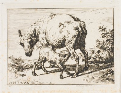 Øya med to lam av Charles Meryon