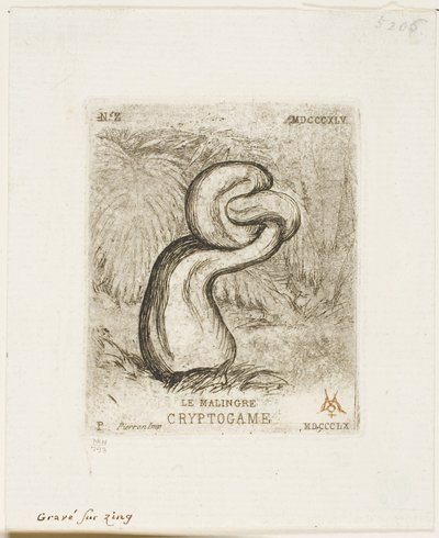 Det syke kryptogamet av Charles Meryon