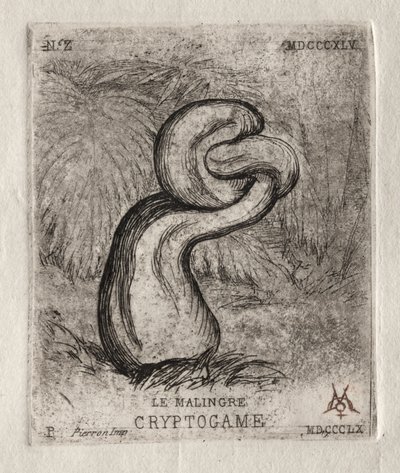 Det syke kryptogamet av Charles Meryon