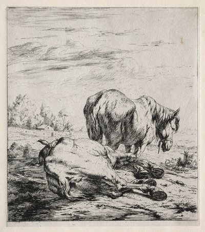 De to hestene av Charles Meryon